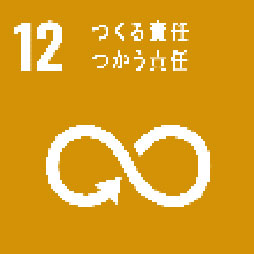 sdgs12