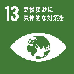 sdgs13